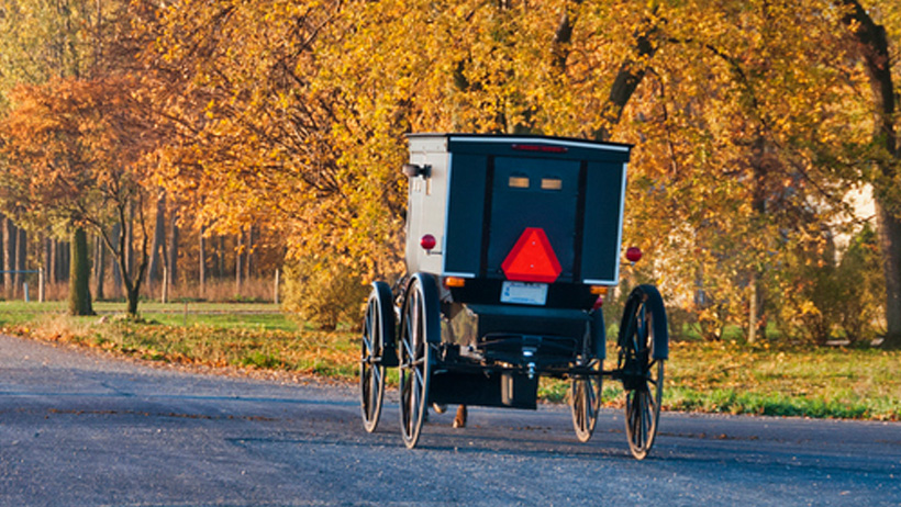 Amish_buggy_fall.jpg