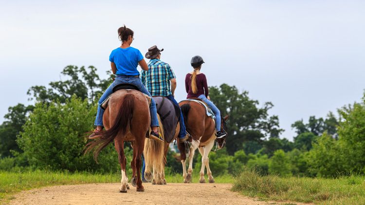 Horseback Riding on Gettysburg battlefield