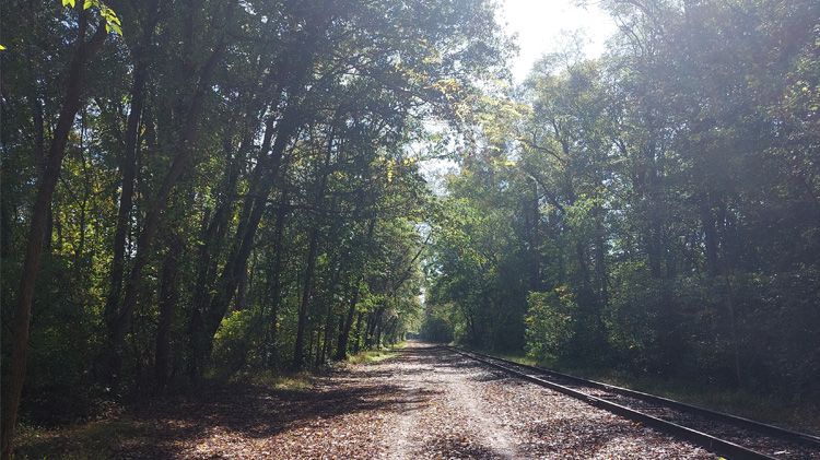 Rails to Trails path.jpg