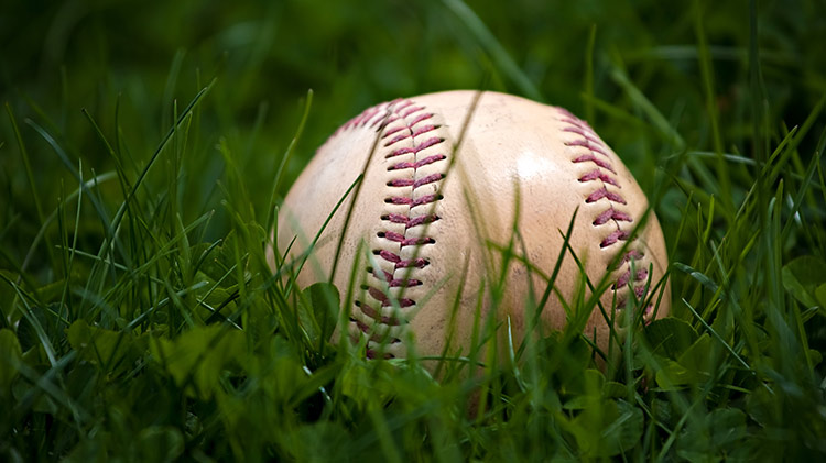 2019 Spring T-Ball / Baseball Series 2019 Spring T-Ball / Baseball Series
