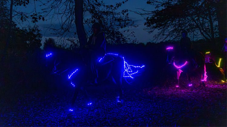 Horseback Glow Ride 9.jpg