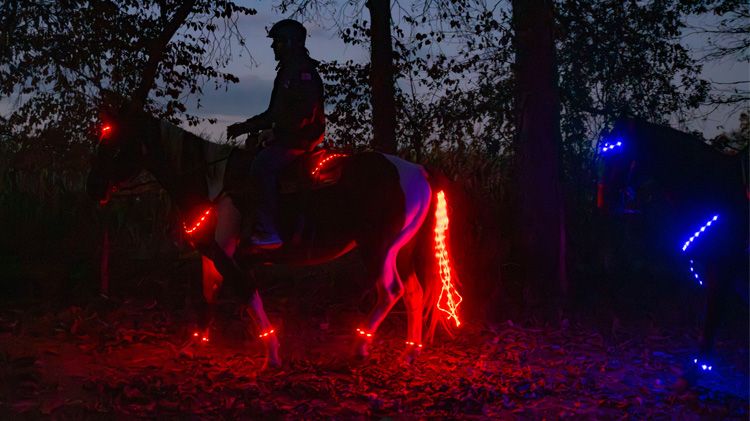 Horseback Glow Ride 13.jpg