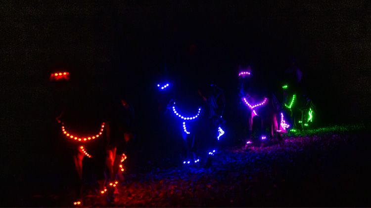 Horseback Glow Ride 1.jpg