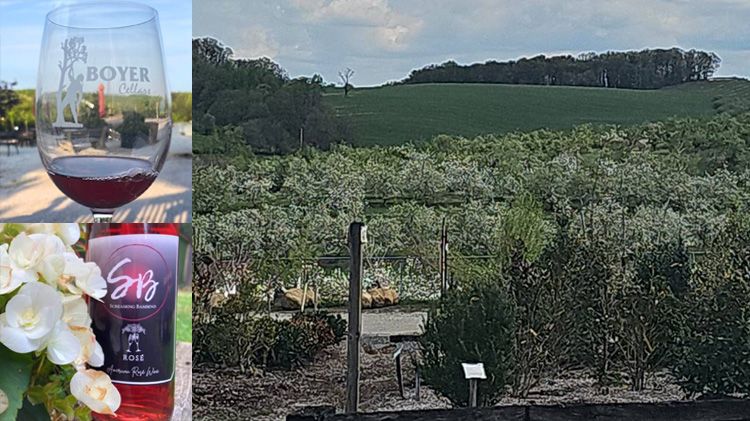 Boyers Cellars combo.jpg